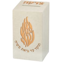 תמונה 2