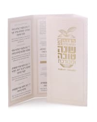תמונה 3