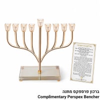 תמונה 1