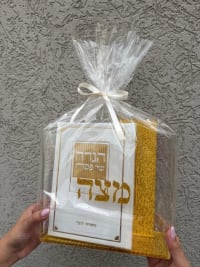 תמונה 2