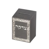 תמונה 2