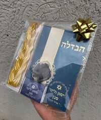 תמונה 1