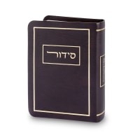 תמונה 2