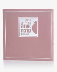 תמונה 2