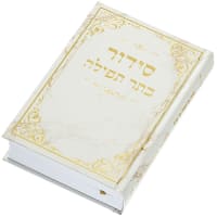 תמונה 1