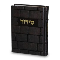תמונה 1