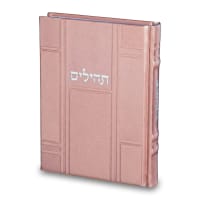 תמונה 2