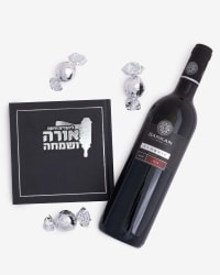 תמונה 2