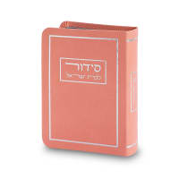 תמונה 2
