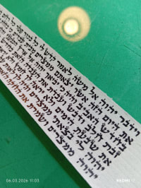 תמונה 5