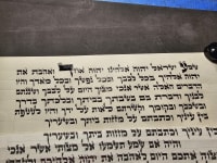 תמונה 1