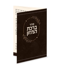 תמונה 3