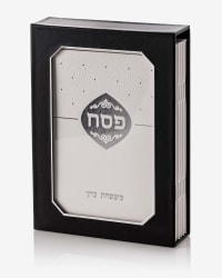תמונה 2