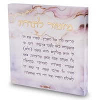 תמונה 2