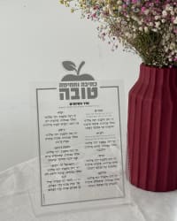 תמונה 3