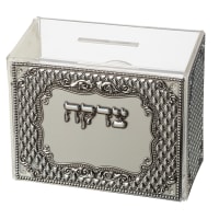תמונה 2
