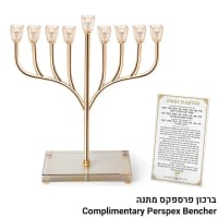 תמונה 1