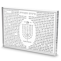 תמונה 2