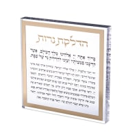 תמונה 2