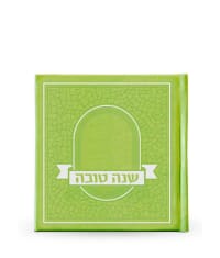 תמונה 3