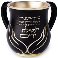 תמונה 2