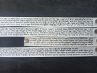 תמונה 1