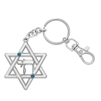 תמונה 2