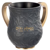 תמונה 2
