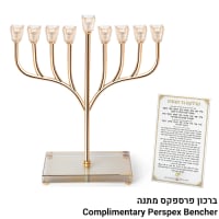 תמונה 2