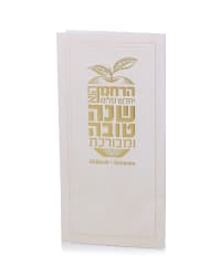 תמונה 2