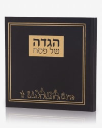 תמונה 3
