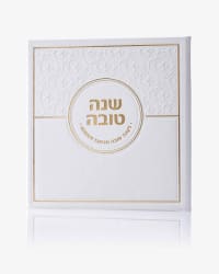 תמונה 2