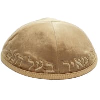 תמונה 2