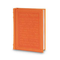 תמונה 1