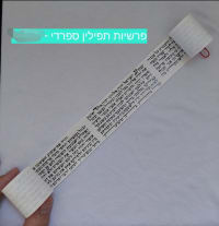 תמונה 1