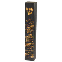 תמונה 1