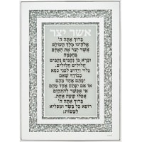 תמונה 2