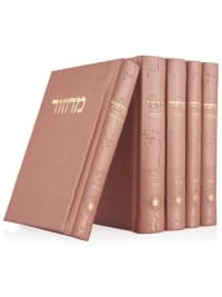 תמונה 2