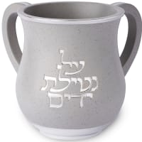 תמונה 2