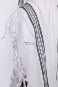 תמונה 1
