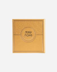 תמונה 1