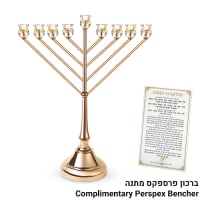 תמונה 2