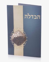 תמונה 2