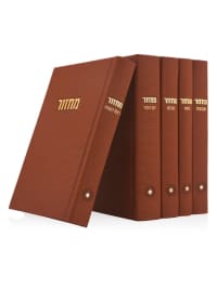 תמונה 2