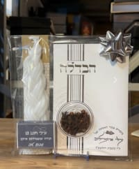 תמונה 1