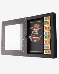 תמונה 1