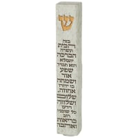 תמונה 2