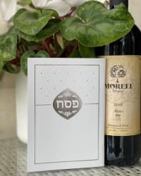 תמונה 1