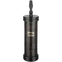 תמונה 2