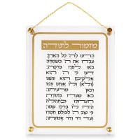 תמונה 2